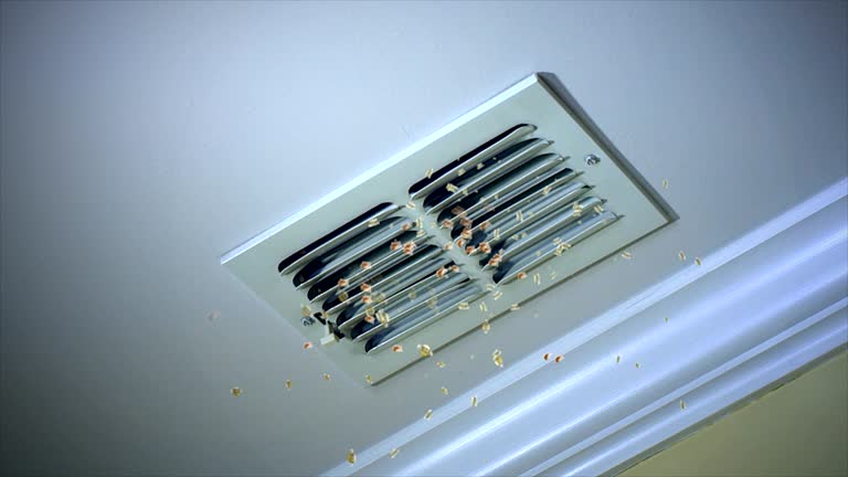 Best HVAC System Cleaning  in Auburn, ME